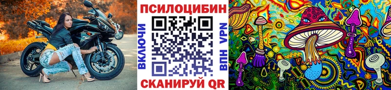 Купить закладки  Михайловск  Галлюциногенные грибы мухоморы 